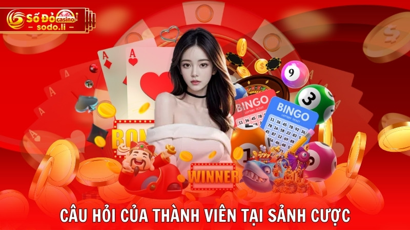 Câu hỏi của thành viên tại sảnh cược Câu hỏi của thành viên tại sảnh cược